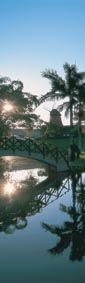Lagoa com ponte